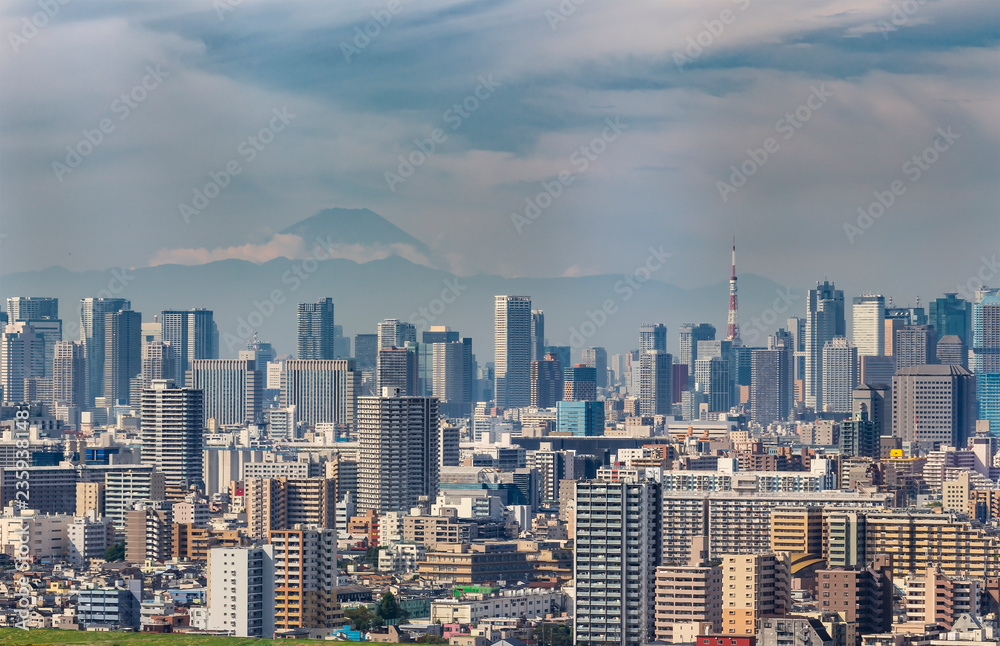 Naklejka premium Building of Tokyo city with Tokyo tower and skyline of Fuji mountain in Japan