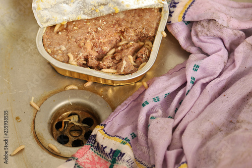 Maden von Fliegen in der Spüle und dem Abfluß einer Küche mit  Lebensmittelresten Stock-Foto | Adobe Stock