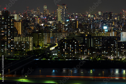 Tokyo city and skyline with night light © mathisa