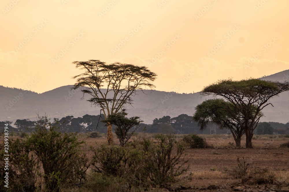 Sonnenuntergang im Rift Valley in Afrika