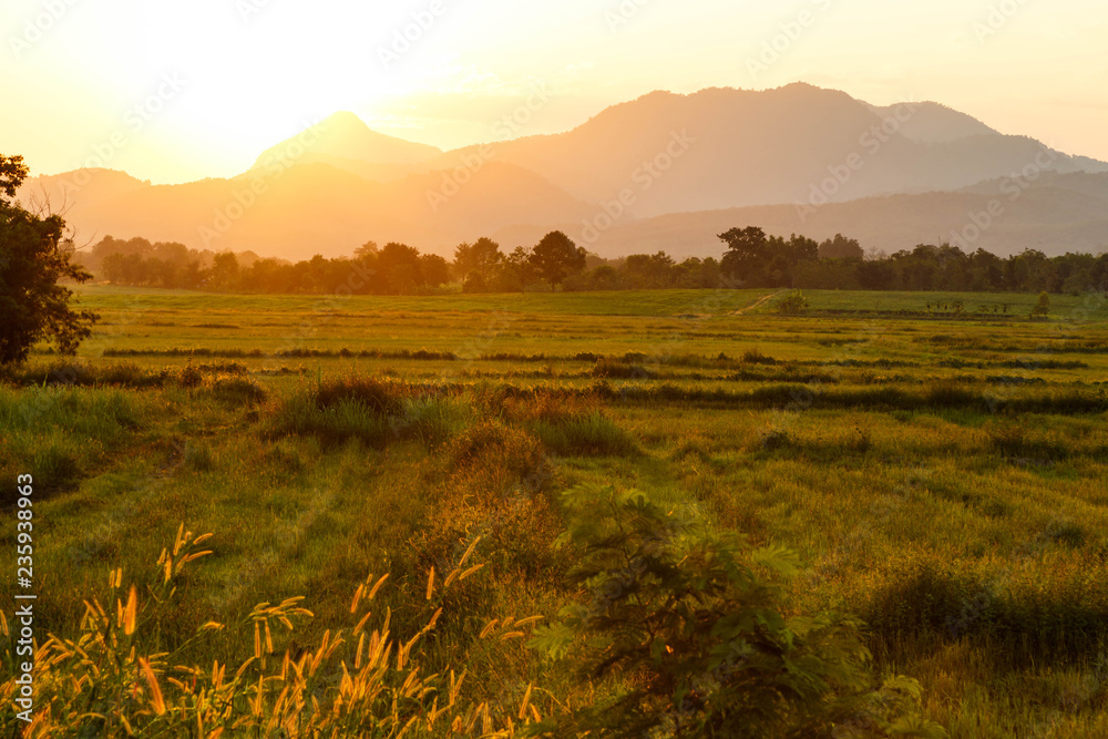 Sunset over silhouette mountain and rice field in evening