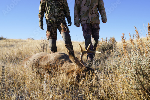 Two hunters find their shot deer while on a deer hunt, in the field and prepare for processing