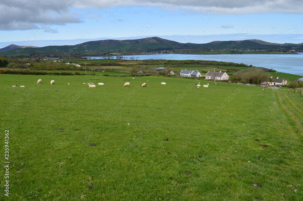 Typical Irish green landscape with coastline