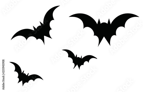 Bat