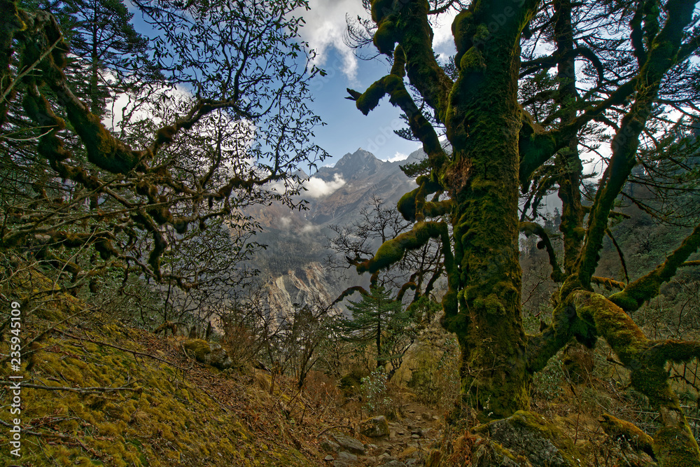 Obraz premium Landscape while climbing at the Mera peak