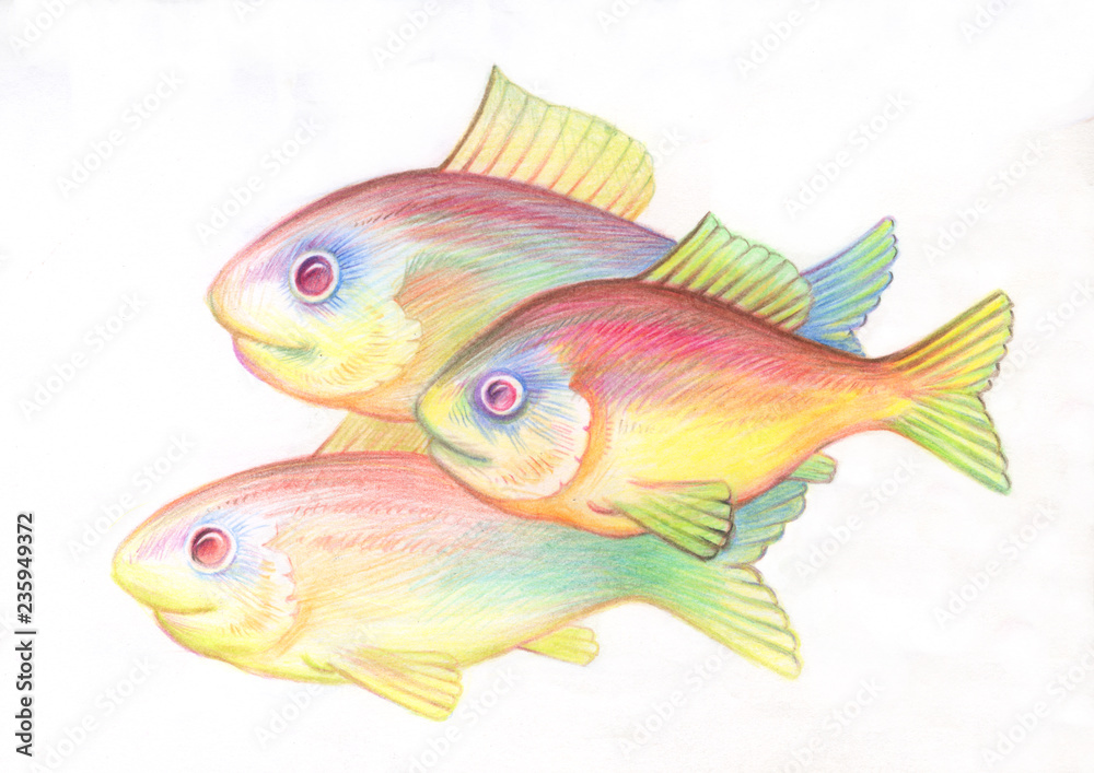 Pencil drawing. Illustration for children. Image of animals with colored pencils. Fish shoal swam together in the sea. Stock Illustration | Adobe Stock Pencil drawing. Illustration for children. Image of animals with colored pencils. Fish shoal swam together in the sea. Stock Illustration | Adobe Stock