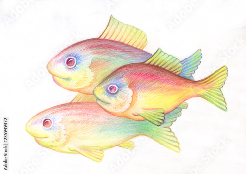 Pencil drawing. Illustration for children. Image of animals with colored pencils. Fish shoal swam together in the sea.