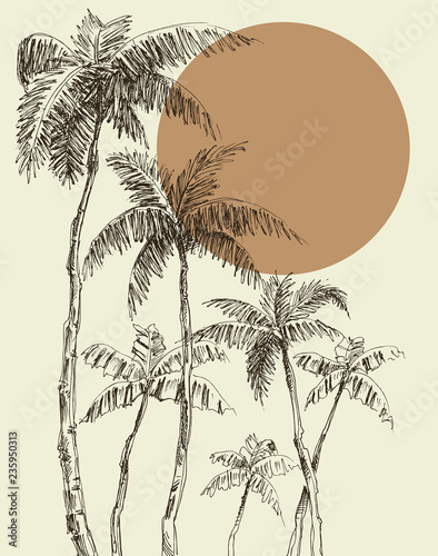 Palm trees background
