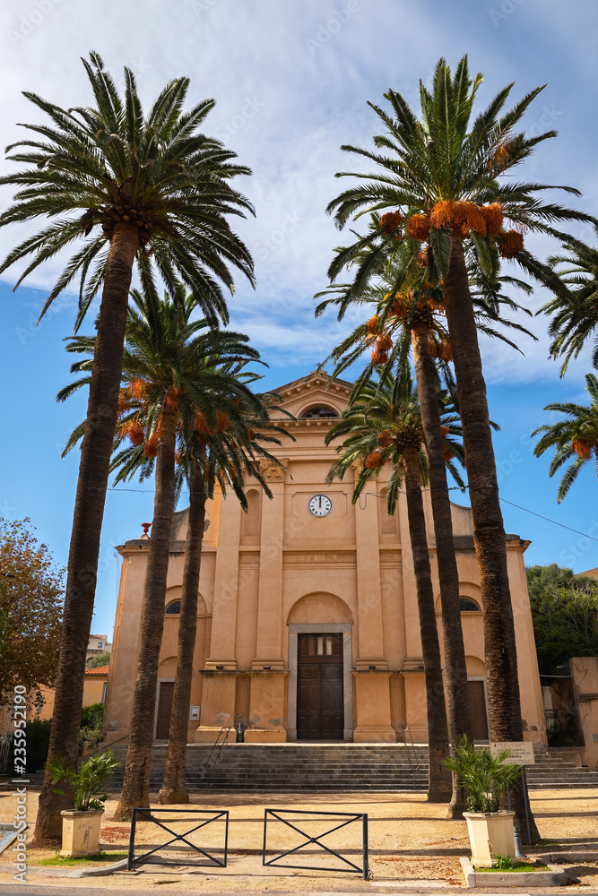Fototapeta premium Tall palm trees in front of Eglise de la Misericorde in the center of L'Île-Rousse, Corsica, France