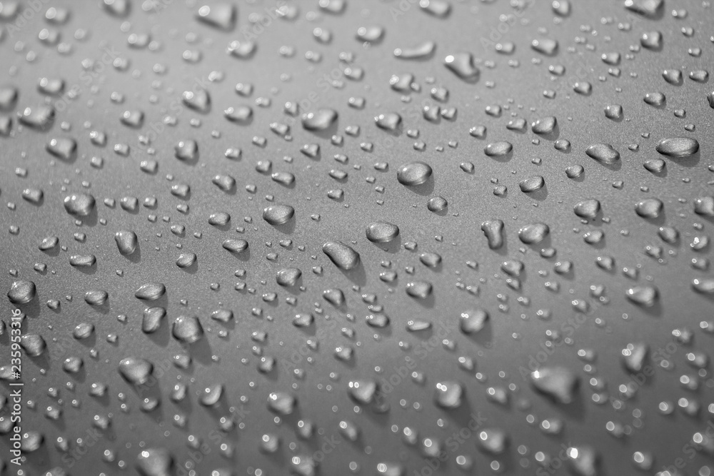 Water drops on gray background closeup grayscale selective focus, shallow depth of field Water drops on gray background closeup grayscale selective focus, shallow depth of field