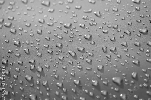 Water drops on gray background closeup grayscale selective focus  shallow depth of field