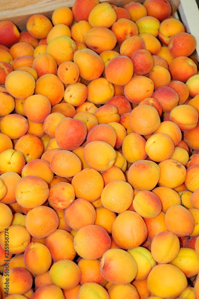 APRICOTS ON MARKET STALL