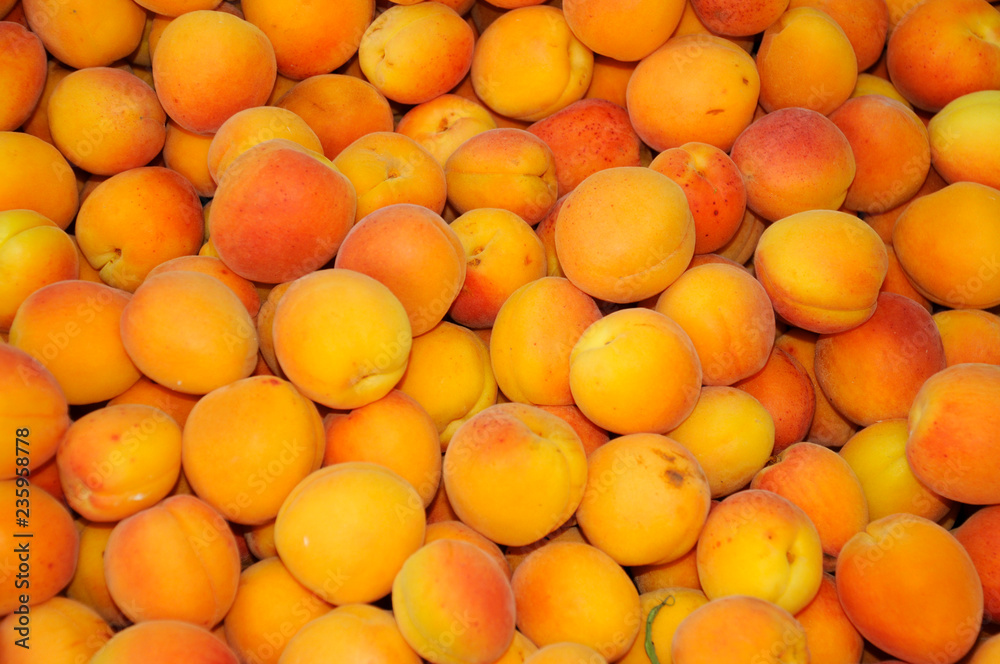 APRICOTS ON MARKET STALL