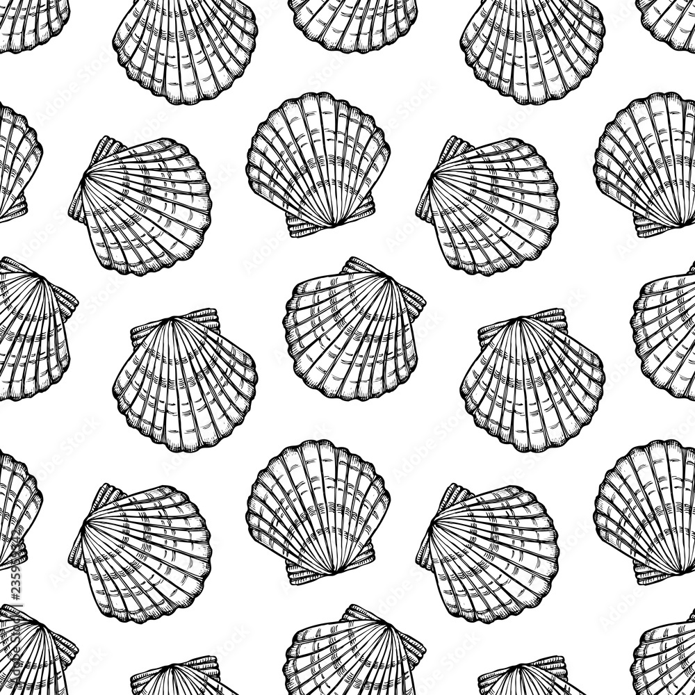 seashells seamless pattern seashells seamless pattern