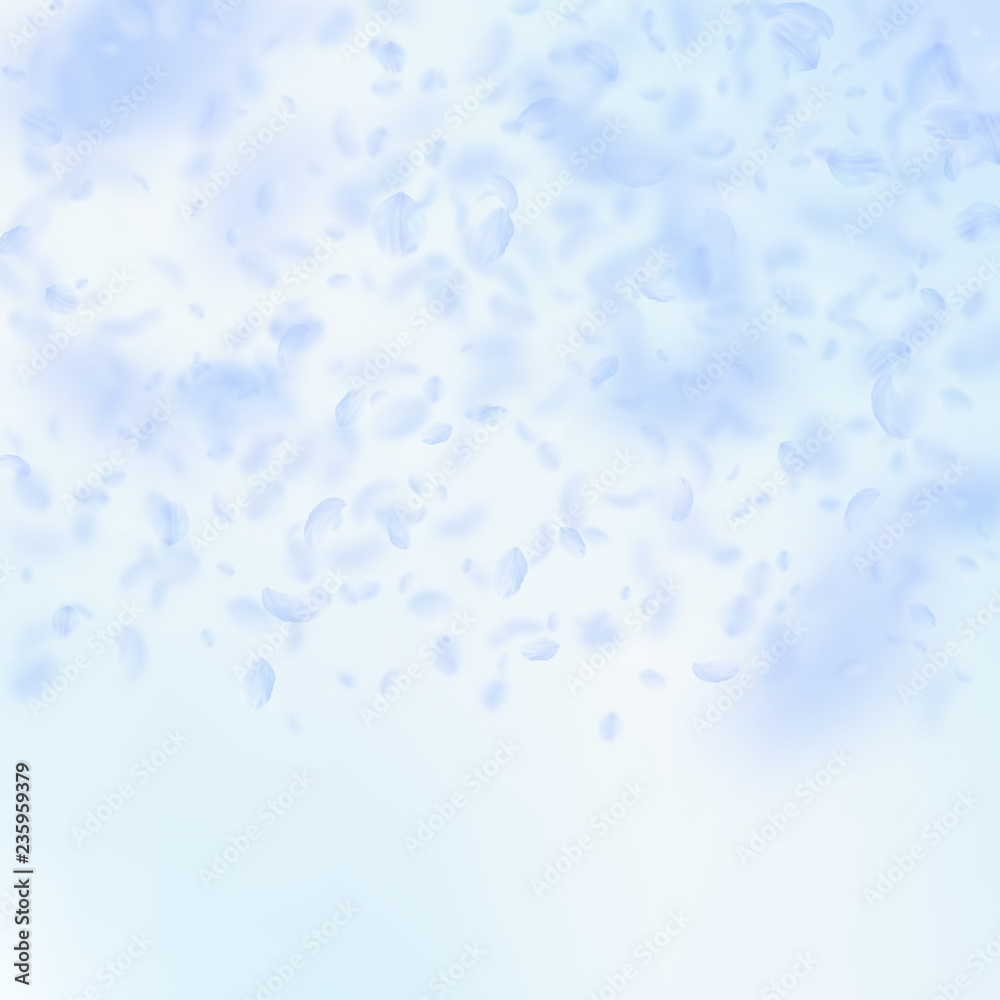 Light blue flower petals falling down. Resplendent Light blue flower petals falling down. Resplendent