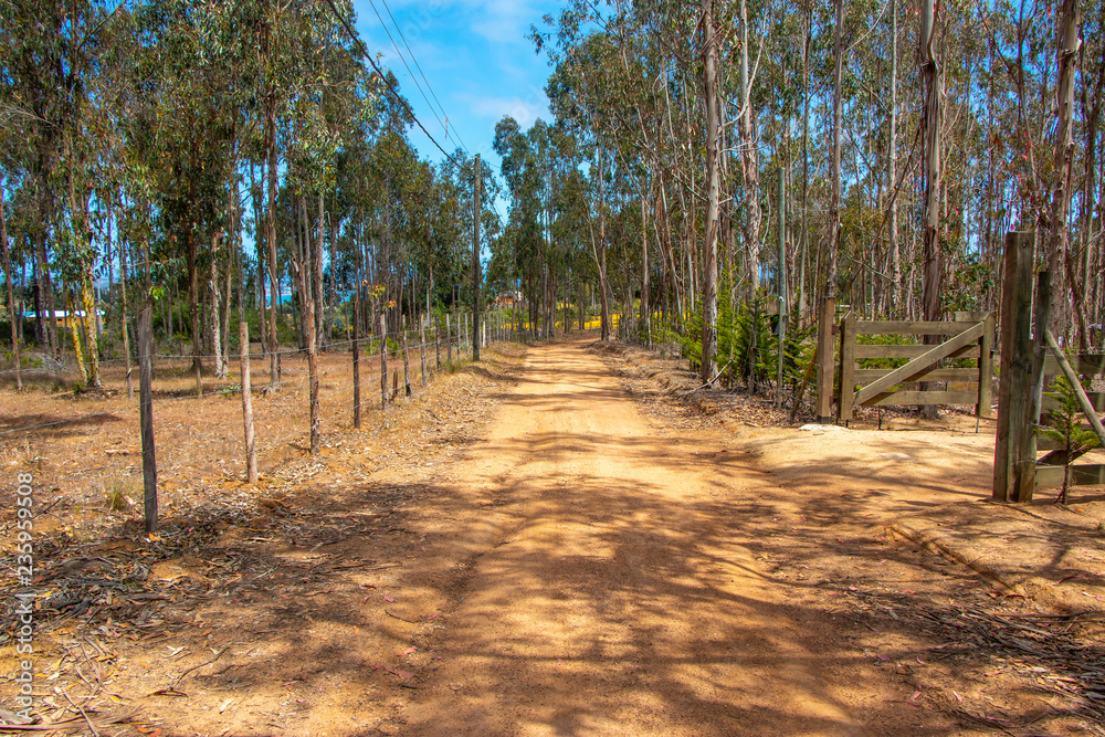 Fotografie Paisaje campestre