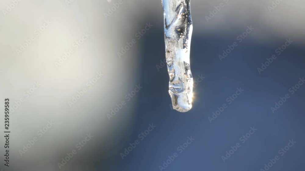 One thin melting icicle sparkles in the sun against the blue sky. Drops of water flow in icicle One thin melting icicle sparkles in the sun against the blue sky. Drops of water flow in icicle