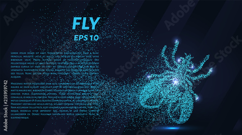 Fly blue points of light. The fly is made up of particles. Vector illustration.