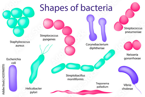 Hand drawn microbiology set. Arrangements of bacterial microorganism.