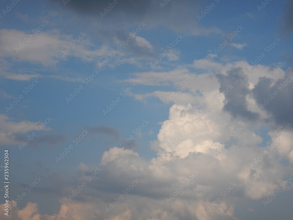 cielo cielo