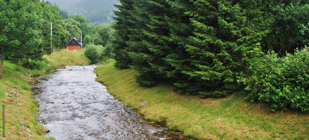 Fototapeta premium Strumień