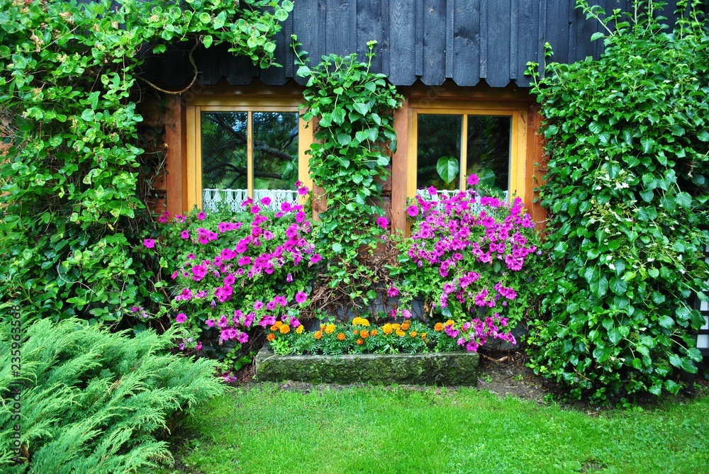 Obraz premium Dom w ogrodzie