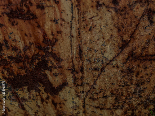 Abandoned old factory, rusty walls