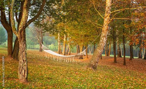 View on a hammock in the au...