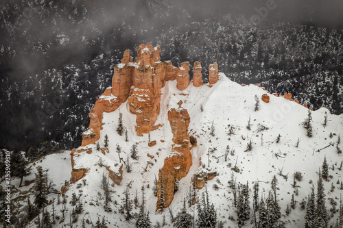 winter landscape