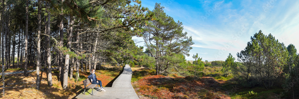 Landschaft mit Bohlenweg auf Insel Amrum