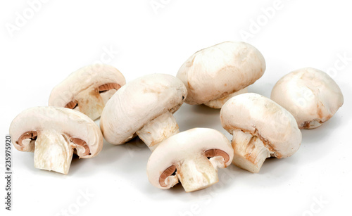 sliced white mushrooms on a white background