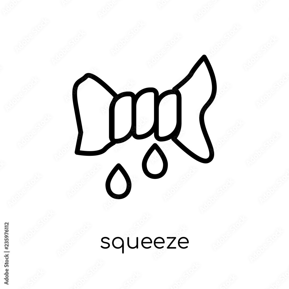 Fototapeta premium Squeeze icon. Trendy modern flat linear vector Squeeze icon on white background from thin line Cleaning collection