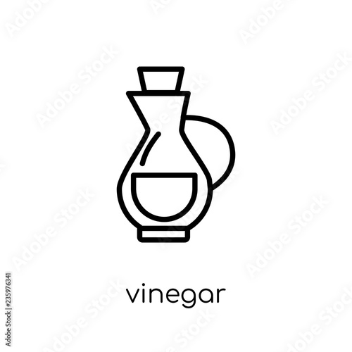 vinegar icon. Trendy modern flat linear vector vinegar icon on white background from thin line Cleaning collection