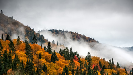 Keuken achterwand Wit Kleurrijke herfst Jacques Cartier Quebec  © David