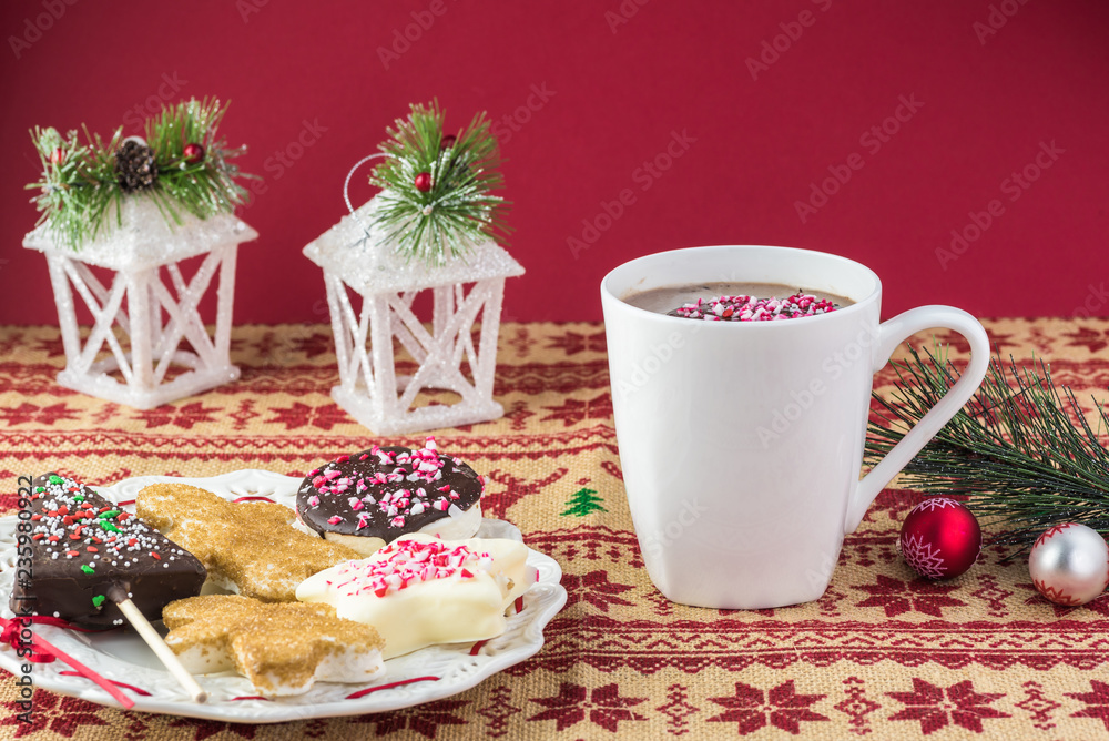 Hot chocolate with  marshmallows topping.