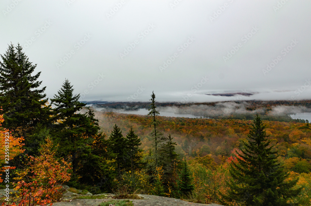Misty Autumn on Bald Mountain in the Adirondacks