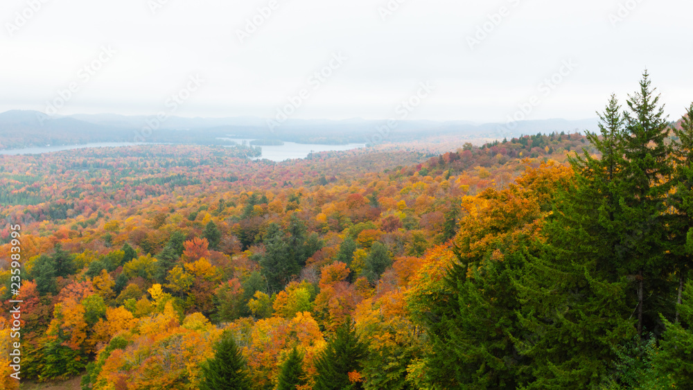 Fall on Bald Mountain in the Adirondacks