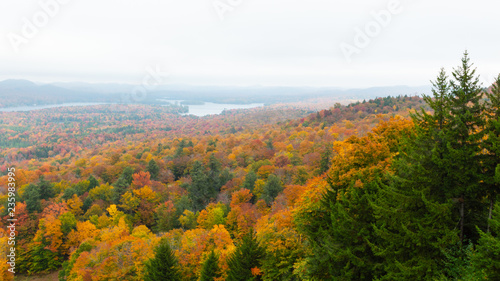 Fall on Bald Mountain in the Adirondacks