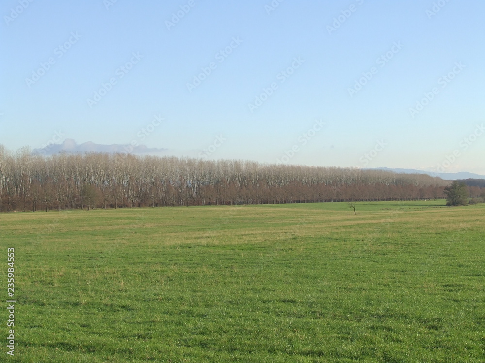 Fototapeta premium paesaggi autunnali 