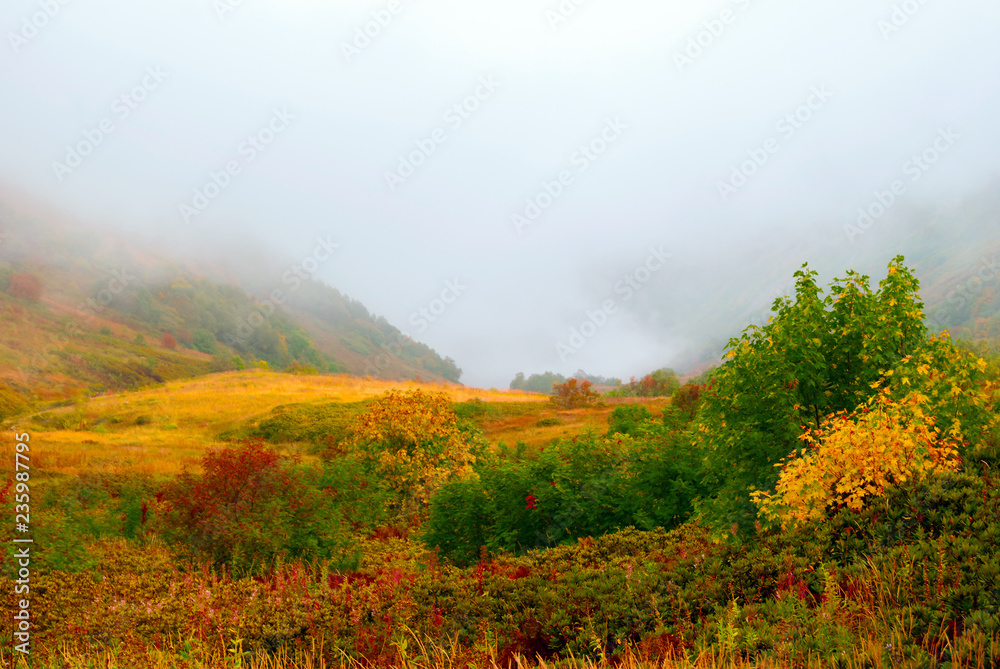 autumn mountain pass with low clouds and bright colors of autumn vegetation