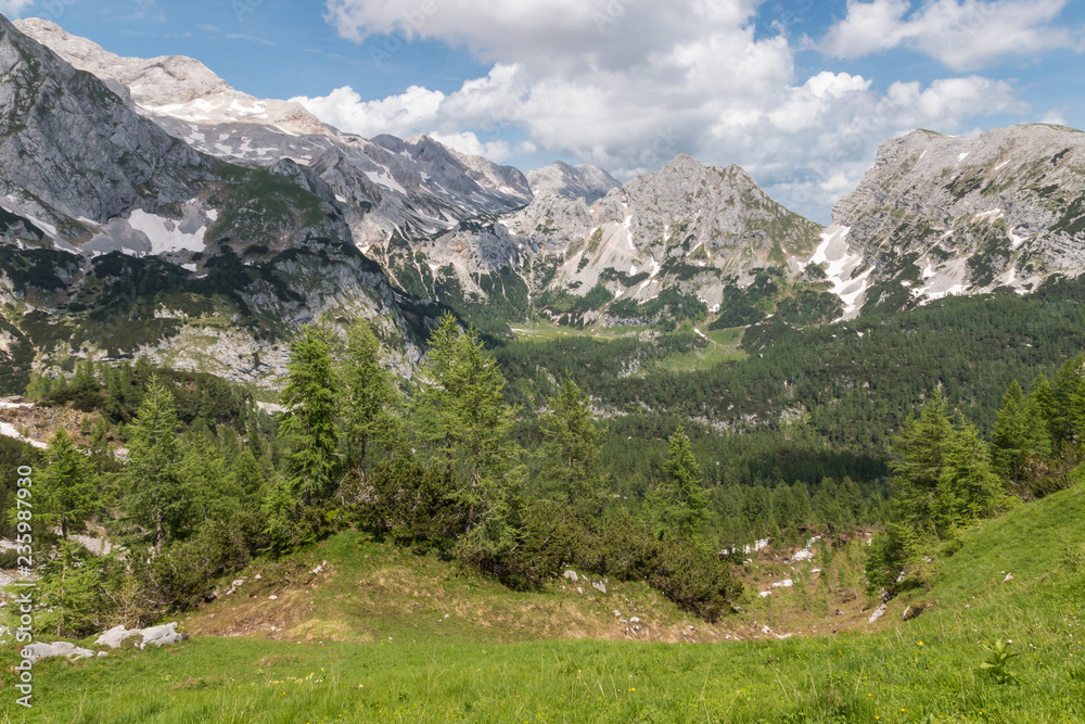 high altitude alpine meadow in Julian Alps, Triglav National Park, Slovenia