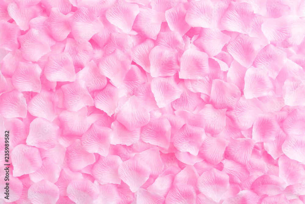 Valentines day background concept. Top view of pink roses petals on white wooden background.