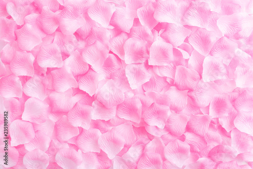 Valentines day background concept. Top view of pink roses petals on white wooden background.