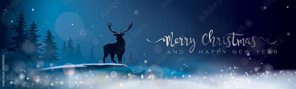 BANNER_MERRY CHRISTMAS AND HAPPY NEW YEAR