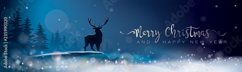 BANNER_MERRY CHRISTMAS AND HAPPY NEW YEAR
