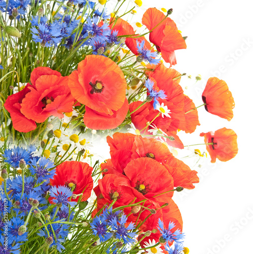 poppies and meadow flowers