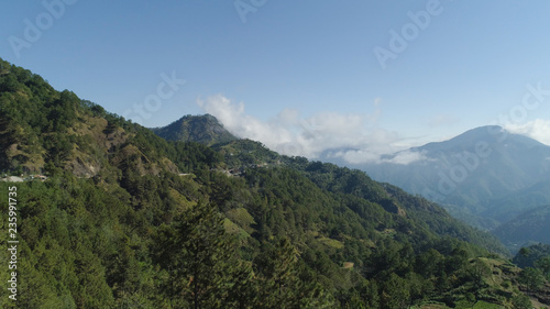 Aerial view of mountains covered forest, trees in clouds. Cordillera region. Luzon, Philippines. Slopes of mountains with evergreen vegetation. Mountainous tropical landscape.