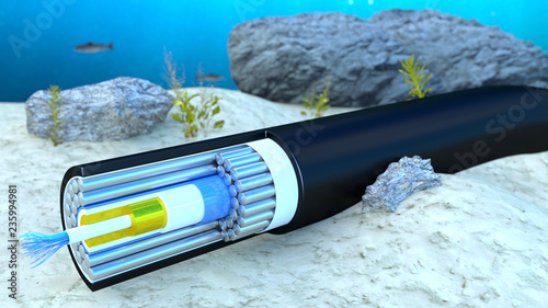 Subseacable on ground off ocean