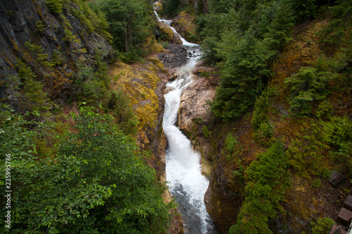 waterfall in forest