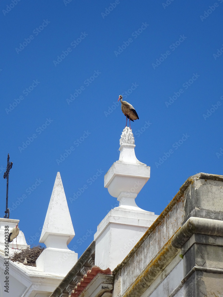 stork on the top of white building in Faro with blue sky
